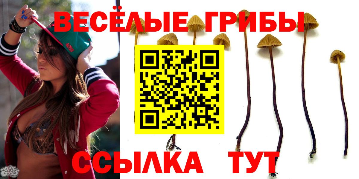 Галлюциногенные грибы Magic Shrooms Тулун